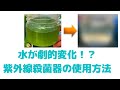 水槽のコケ対策！エーハイムの紫外線殺菌器をつかってグリーンウォーターを除去