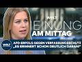 MEINE MEINUNG: Erfolg gegen Verfassungsschutz! AfD nicht gesichert rechtsextremistisch