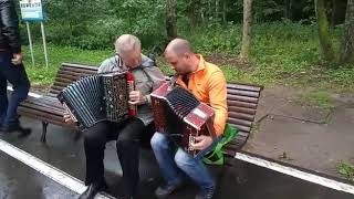 03.08.19.Измайловский пятачек.Игра на гармони. 03.08.19.Измайловский пятачек.Игра на гармони.