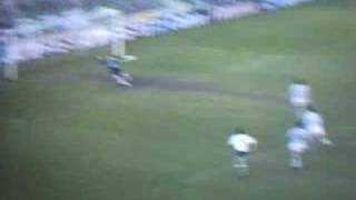 golazo de Radchenko