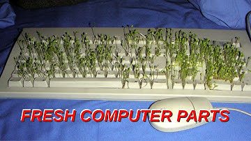 Show and Tell; some stuff to throw 9Front at