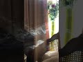 The Art of Smoke &amp; Sunlight