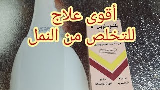 علاج قوى جداااا للقضاء والتخلص نهائى من النمل 