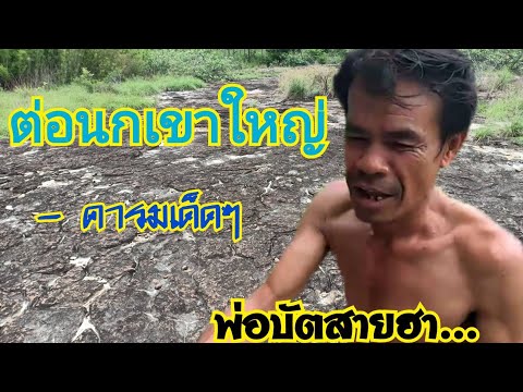 ต่อนกเขาใหญ่ คารมเด็ดๆ