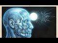 TELOS Consciousness Tunneling and the Universal Current