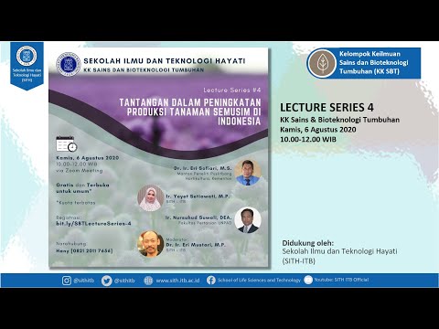 Video: Apa Itu Selada Kweik – Informasi Tentang Tanaman Selada Kweik Butterhead