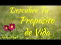 DESCUBRE TU PROPÓSITO de VIDA