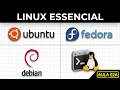 Física Computacional 01 - Introdução ao Linux - Aula 02A