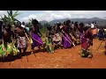 Mwana Wa Mashamuka 