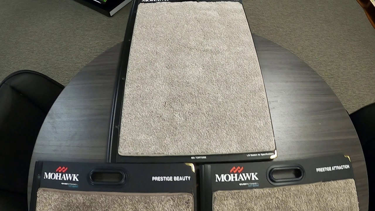 Mohawk Everstrand Carpet New Arrivals