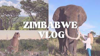 ZIMBABWE VLOG | Harare, Imire Game Park \& Domboshava Rock