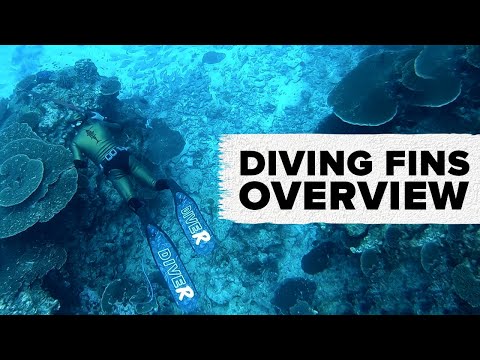 Diving Fins Overview | ADRENO