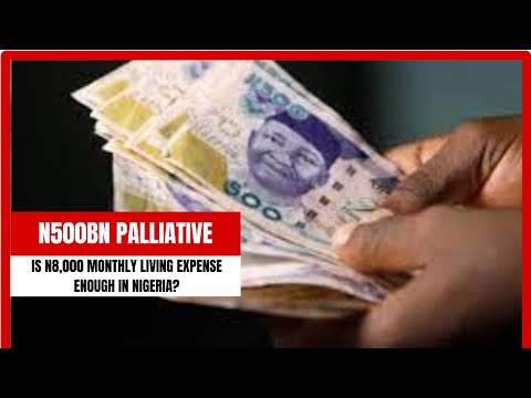 ₦500bn Palliative: Is ₦8,000 Monthly Living Expense Enough In Nigeria?