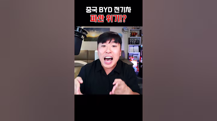 중국 BYD 전기차 파산 위기!? (BYD 전기차 구매하기 전에 꼭 보세요!!!)