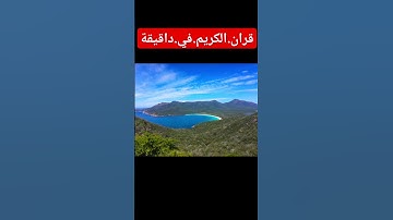 سورة.الزمر.سعود.الشريم #المصحف #اكسبلور #quran #nature #flowers #duet #لايك #ترند احترم.القران. #في