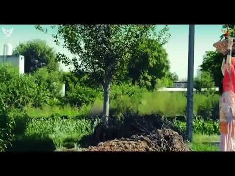 Telefoon - Babbu Maan | Video Song Extented Latest Punjabi Song By Geetmp3