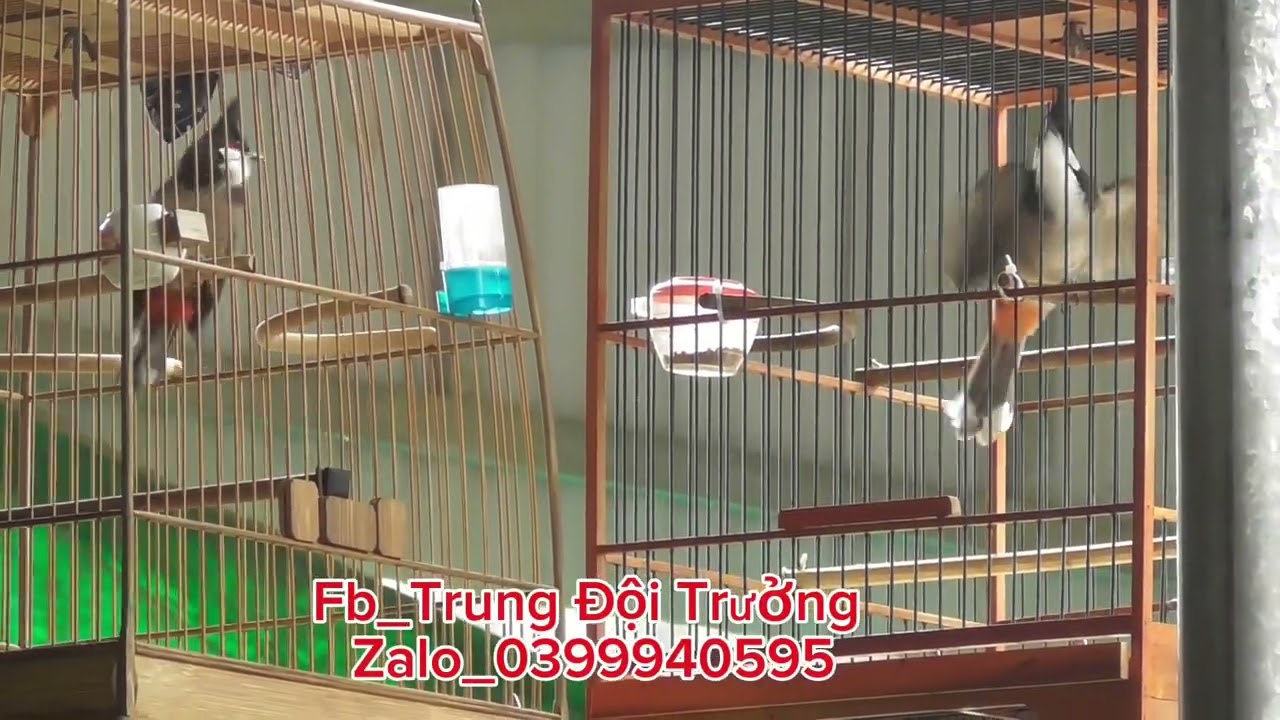 Vẻ đẹp của 2 vũ công