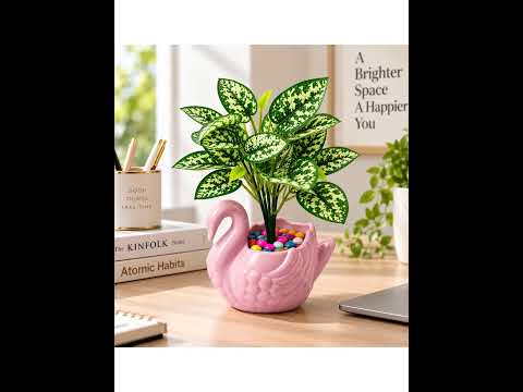 Product video