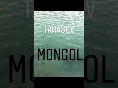 Wideo: Czy to mogol czy mongol?