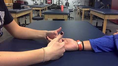 MMT - MCP Flexion Grades 0-5