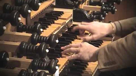 Video Steigleders Toccata