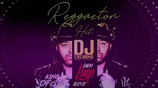 HIT MIX REGGAETON 🌱 LO MAS SONADO DEL REGGAETON🌱DJ COCHANO