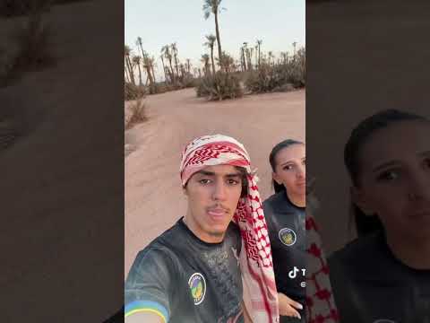 Tiktok de camélia