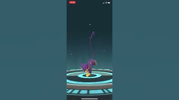 Evolving Purrloin to Liepard | Pokémon Go