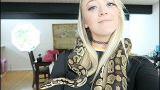 Vine Meghan Mccarthy