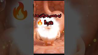 حرقان المعدة  السبب الحقيقي اللي محدش بيتكلم عنه   سمعها