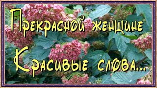 Прекрасной женщине! Красивые слова!