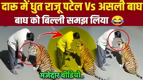 Tiger vs Raju Patel 😂 The Funniest Viral Video of the Year | viral tiger video 