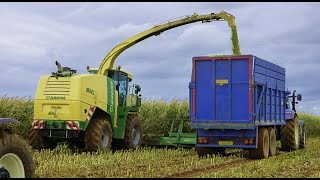 Maize - with Cultivation for the Next Crop AND Hedgecutting!