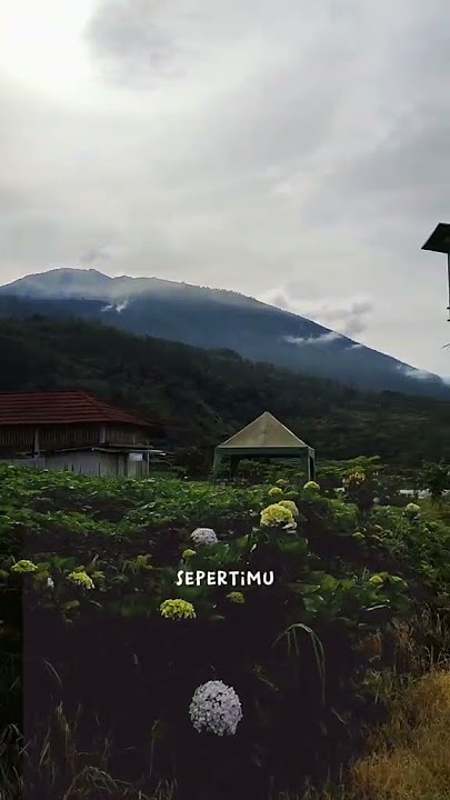 Cinematic alam gunung keren | story WA 30 menit #shorts #videoshorts @DNDCREATIVECHANNEL