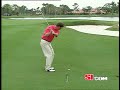 Golf: Pitch Shot