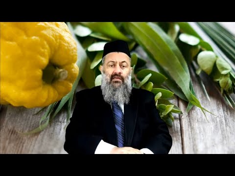 רבי יעקב גאגולשוילי שליט\"א | חג הסוכות מנהגי יהדות גאורגיה რაბი იააკოვ გაგულაშვილი სუქოთი და ალახები