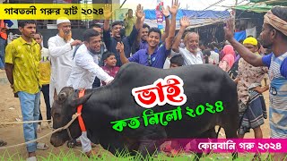 গাবতলী হাট থেকে বিক্রিত কোরবানি গরুর দাম - ভাই কত নিলো ২০২৪ || গাবতলী গরুর হাট ২০২৪ || কৃষি ঘর