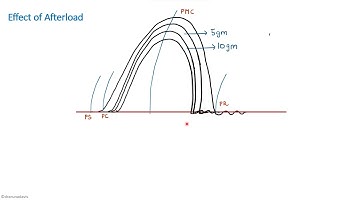 Experimental Physiology Amphibian Graphs  Part 2| First Year MBBS | Practical Physiology