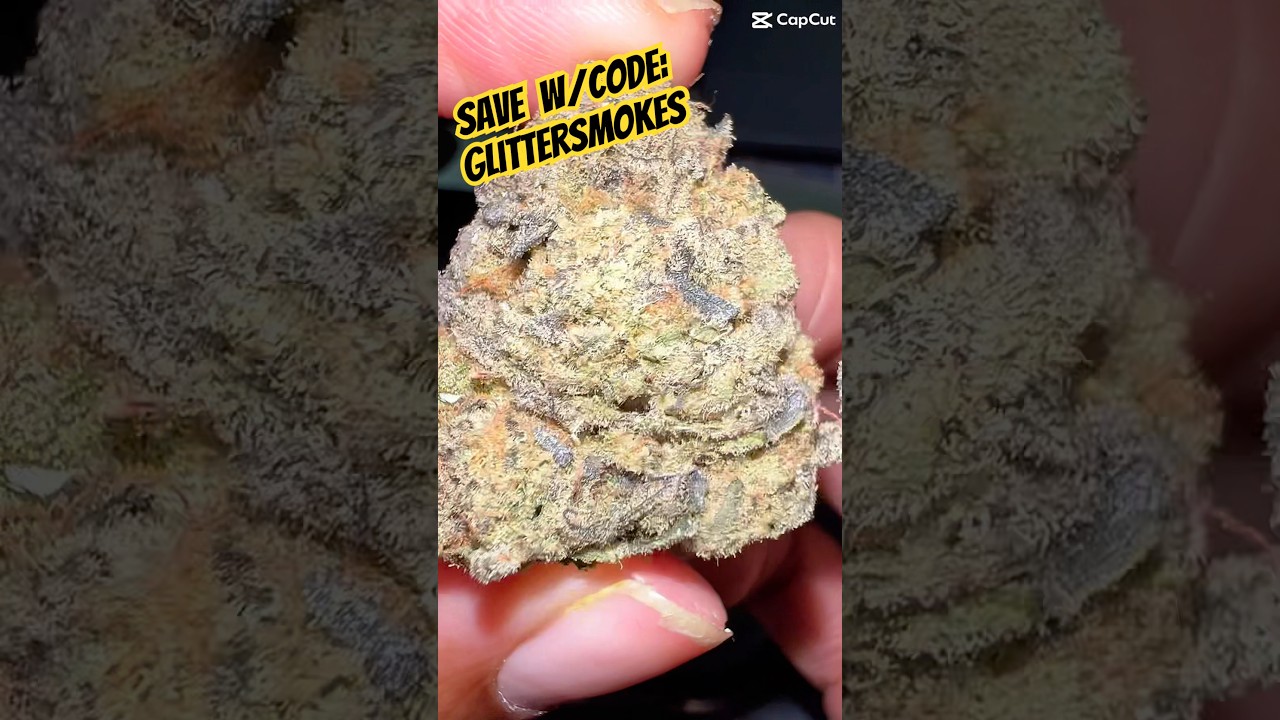 Vice City from California Gold Farm 