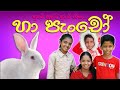 Haa pancho        sinhala lama song  lama geetha ekathuwa  madumi tv