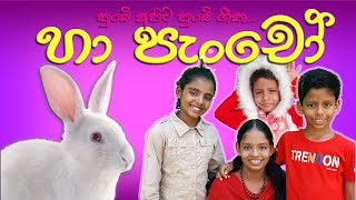 Haa Pancho | හාපැංචෝ | සිංහල ළමා ගීත | sinhala lama song | lama geetha ekathuwa | Madumi TV