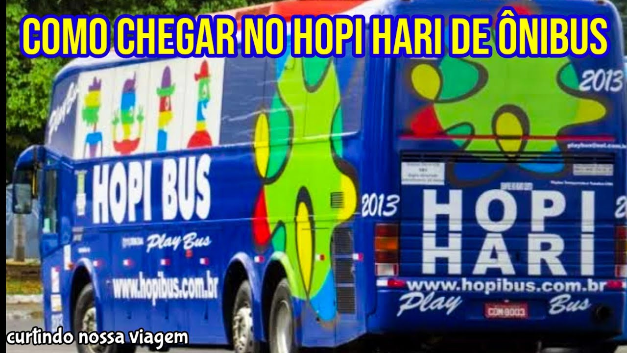 COMO CHEGAR DE ONIBUS NO HOPI HARI, SAINDO DO RIO DE JANEIRO PARA SÃO ...