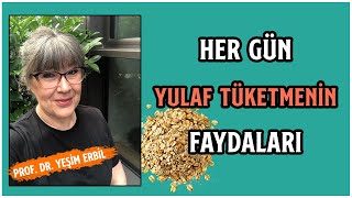 Her Gün Yulaf Yersek Ne Olur? | Yulafın Mucize Faydaları