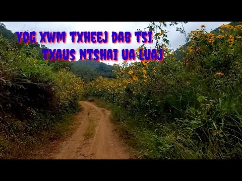 Video: Dab tsi txaus ntshai?