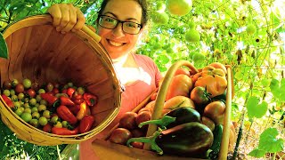 2023 Garden & Harvest Tour Week 12: Arched Trellis BUCKLING Under The Weight