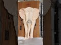 Elephant face wall mural