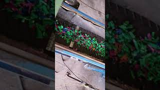 Big State Shredding Thread Protectors Wealth