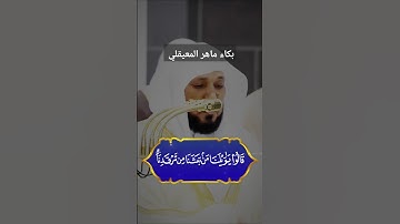 تلاوة مؤترة بكاء ماهر المعيقلي سورة يس من صلاة التهجد 24 رمضان #قران #رمضان #ماهر_المعيقلي #coran