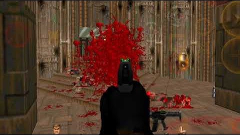 litdoom gameplay/pls help me I need to remove the realistic stuff it