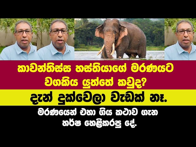 🔴කාවන්තිස්ස හස්තියාගේ මරණයෙන් එහා ගිය කථාව ගැන හර්ෂ හෙළිකරපු දේ.